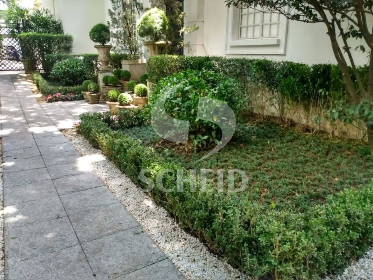 Foto 19