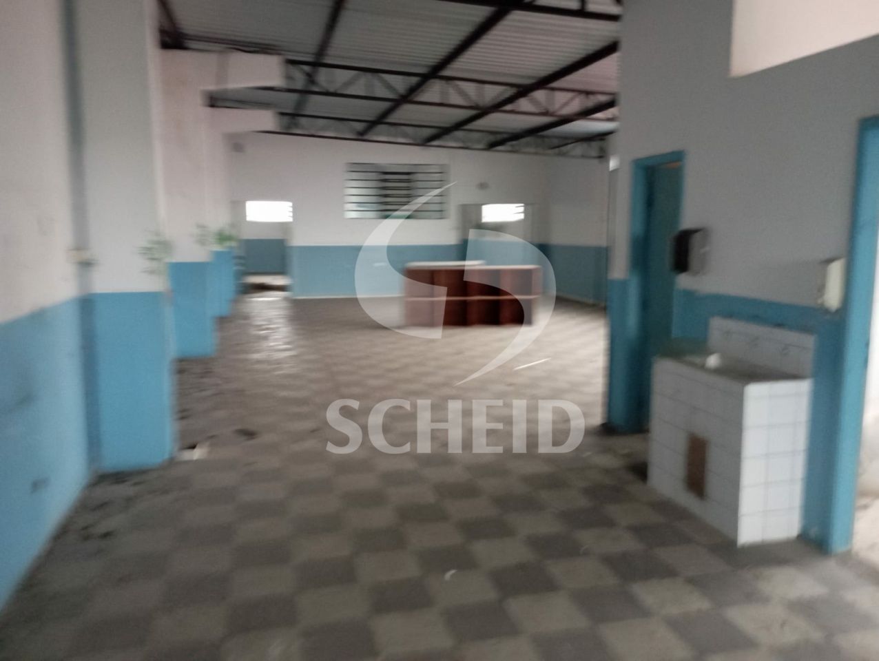 Foto 7