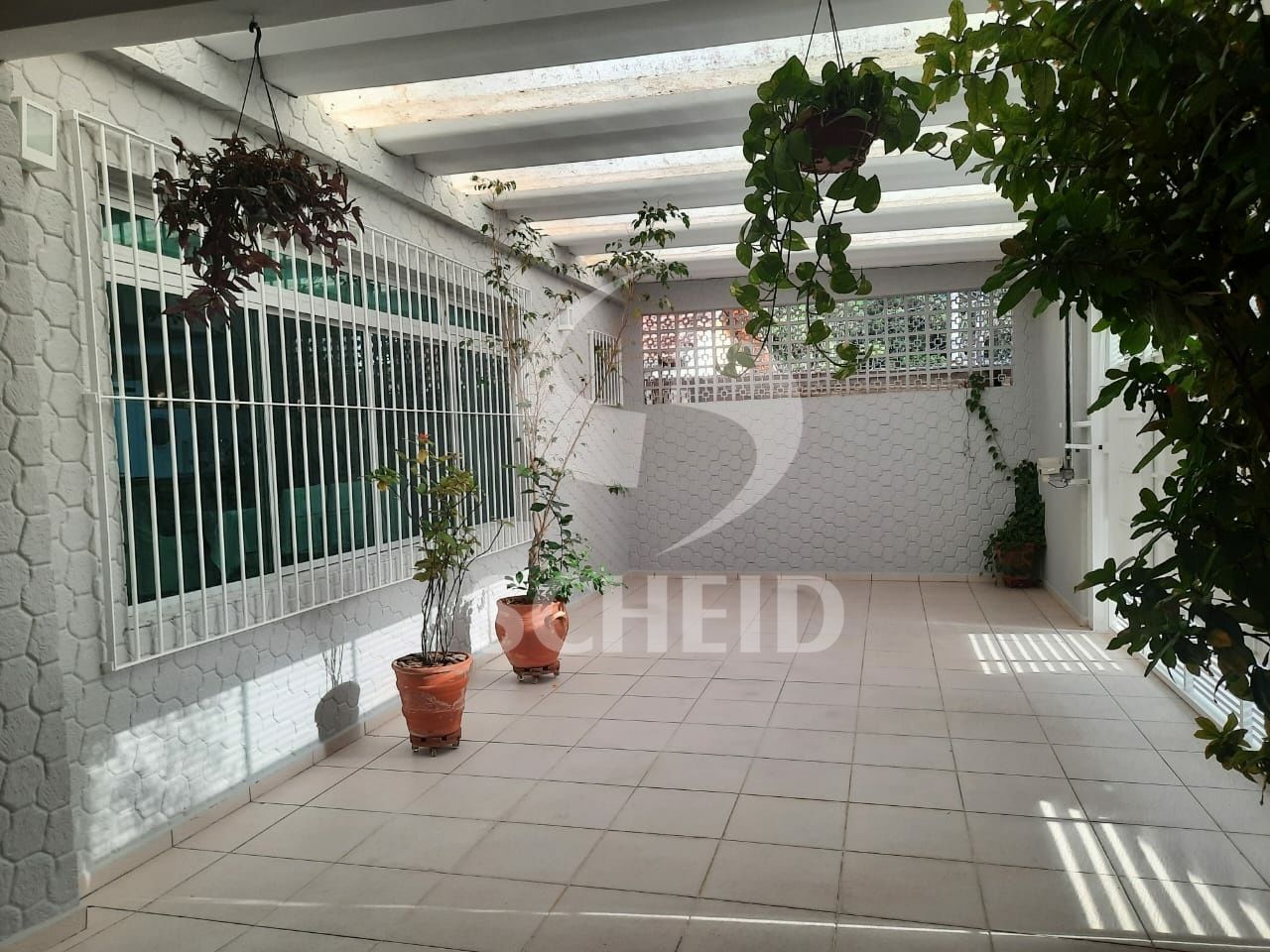 Foto 19