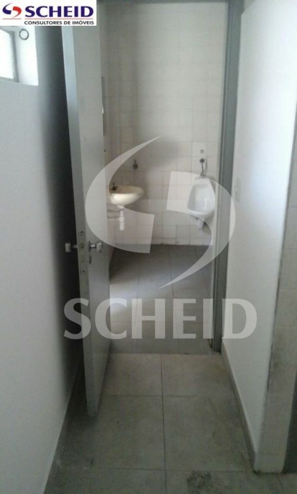 Foto 19