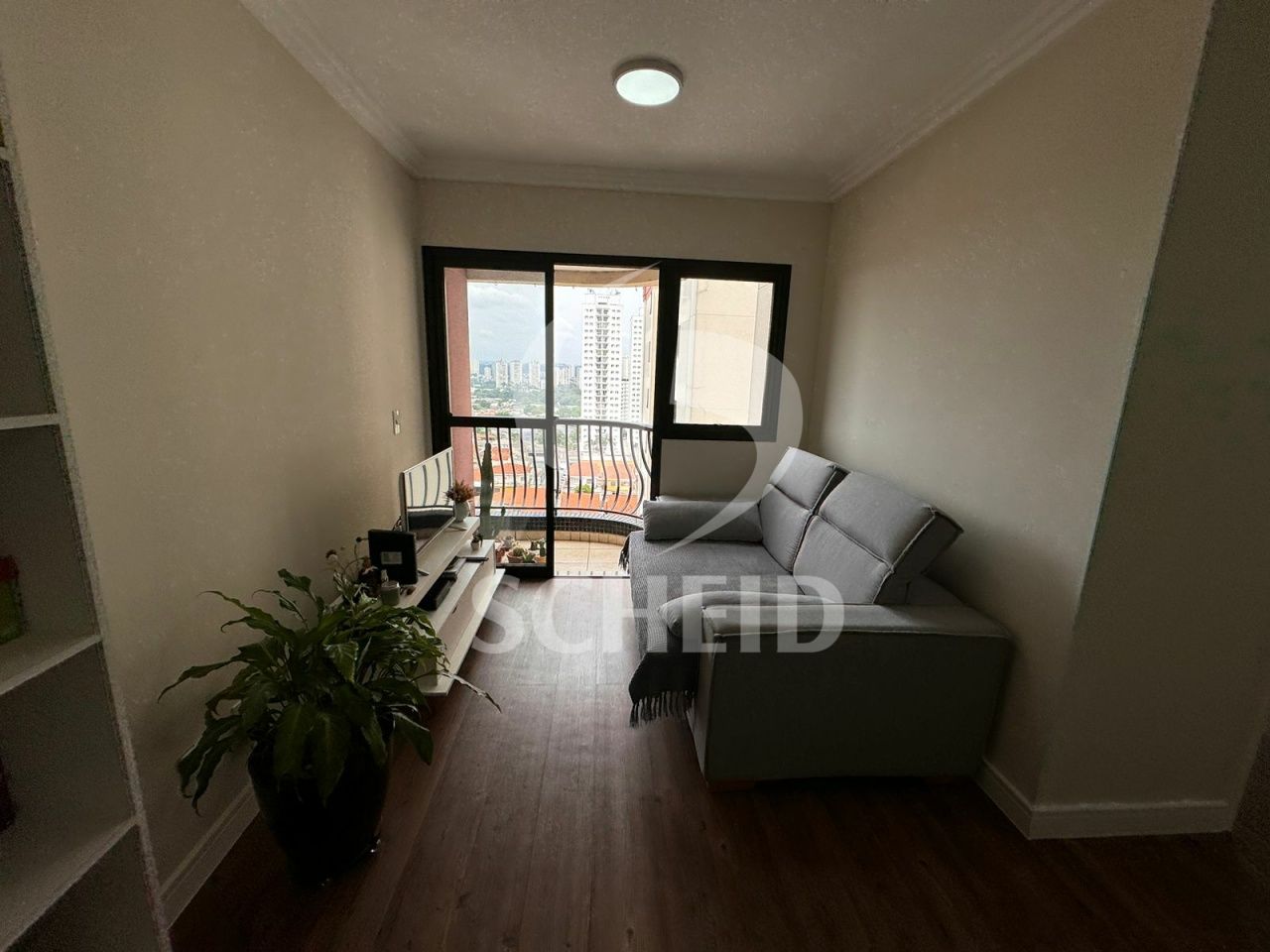 Foto 7