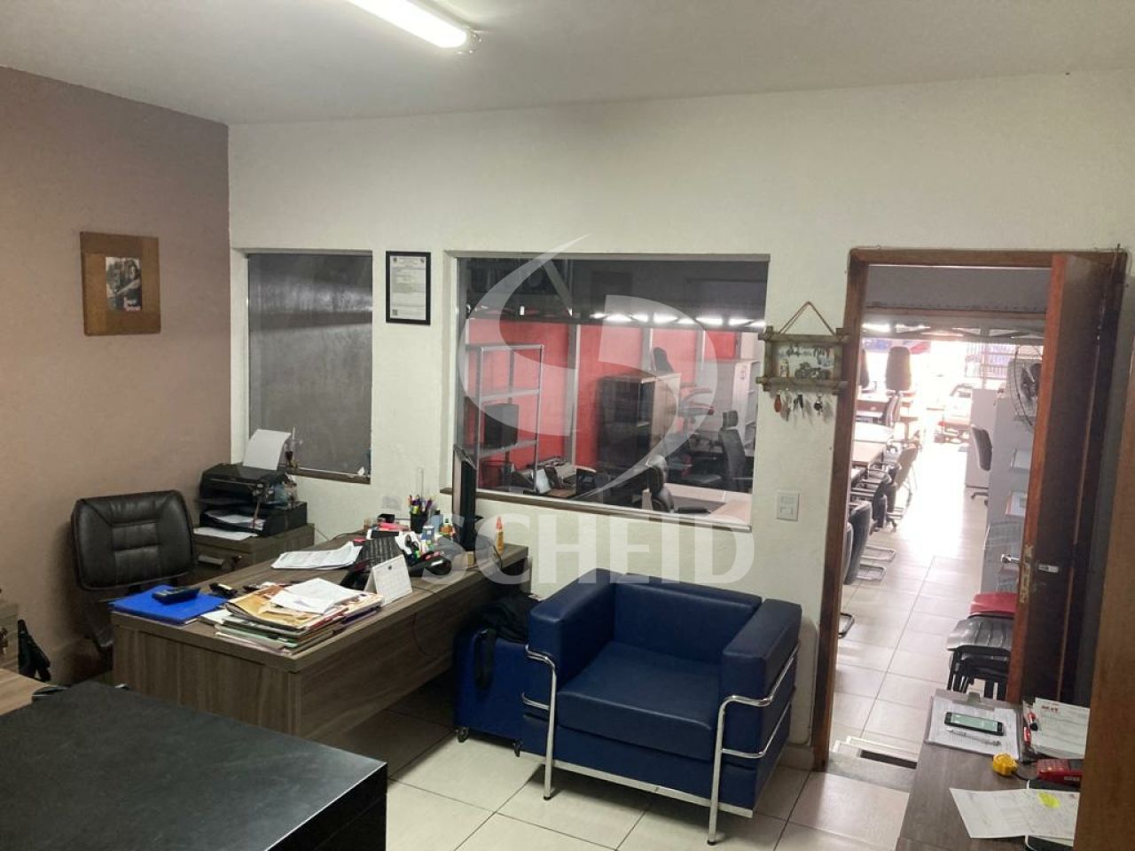 Foto 11