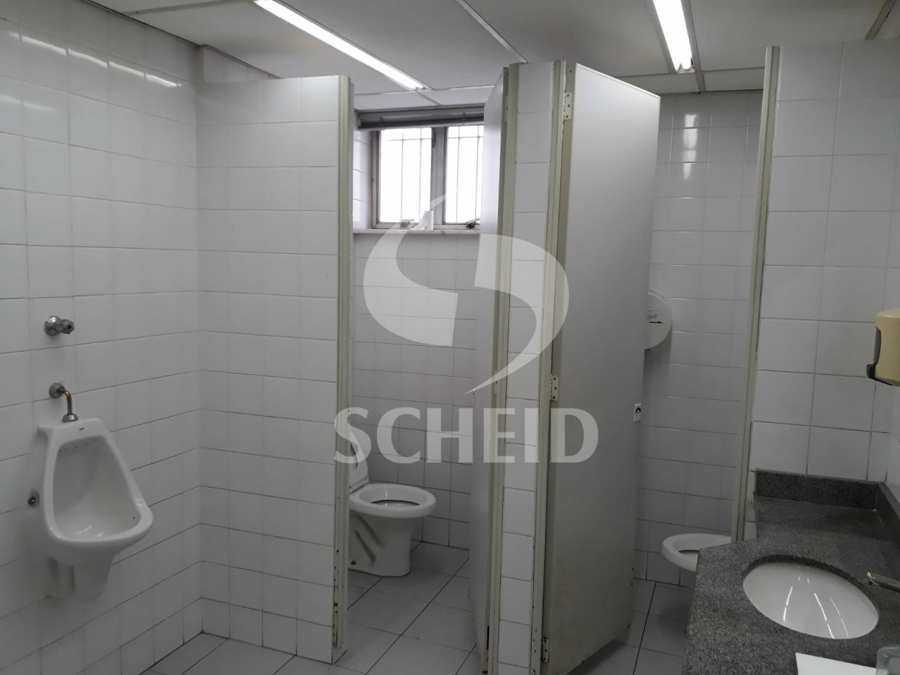 Foto 15