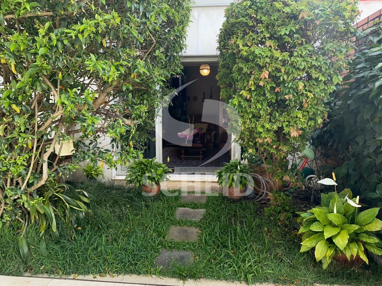 Foto 23