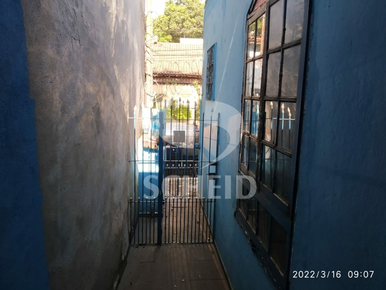 Foto 19