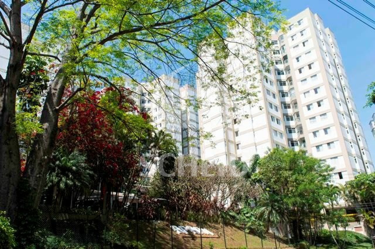 Foto 19