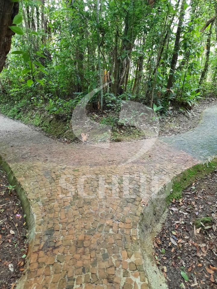 Foto 21