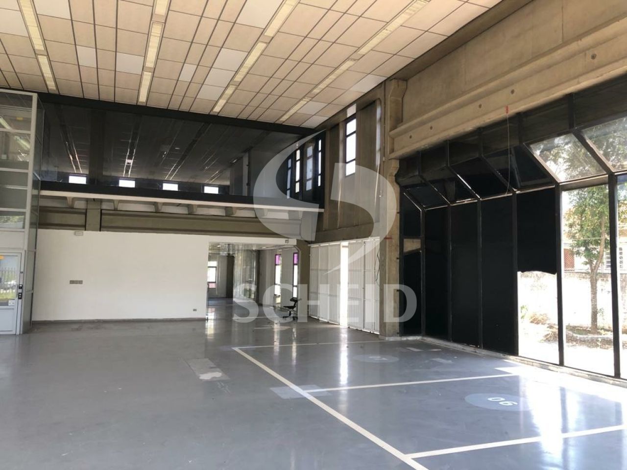Foto 11