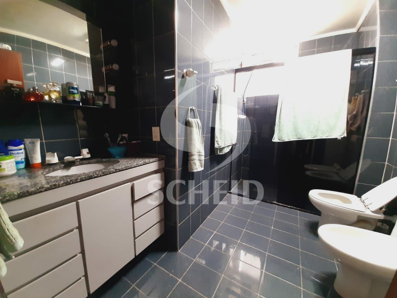 Foto 12