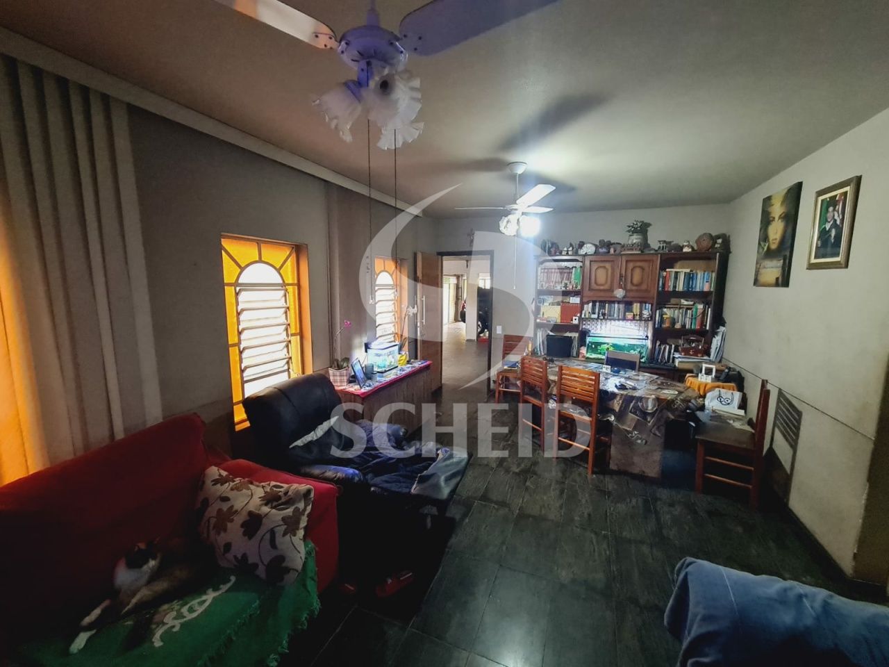 Foto 16