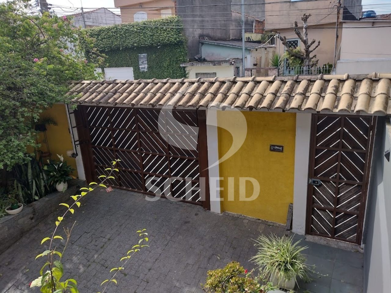 Foto 7