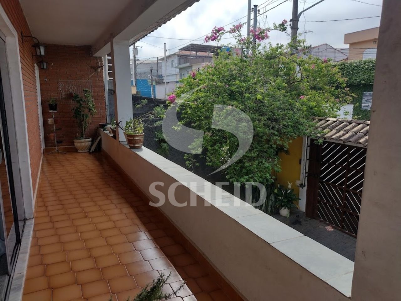 Foto 9