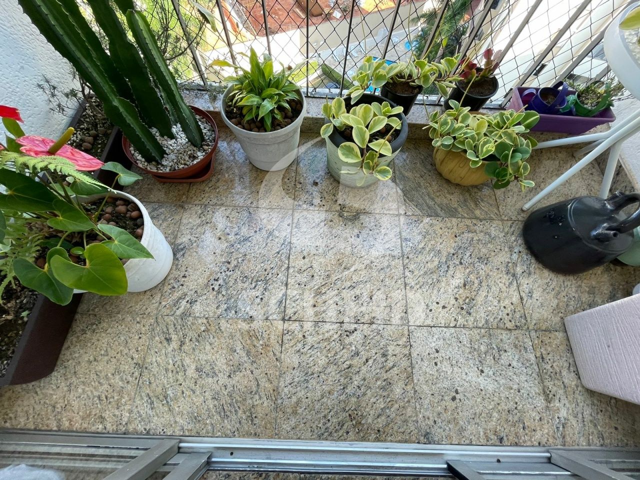 Foto 6