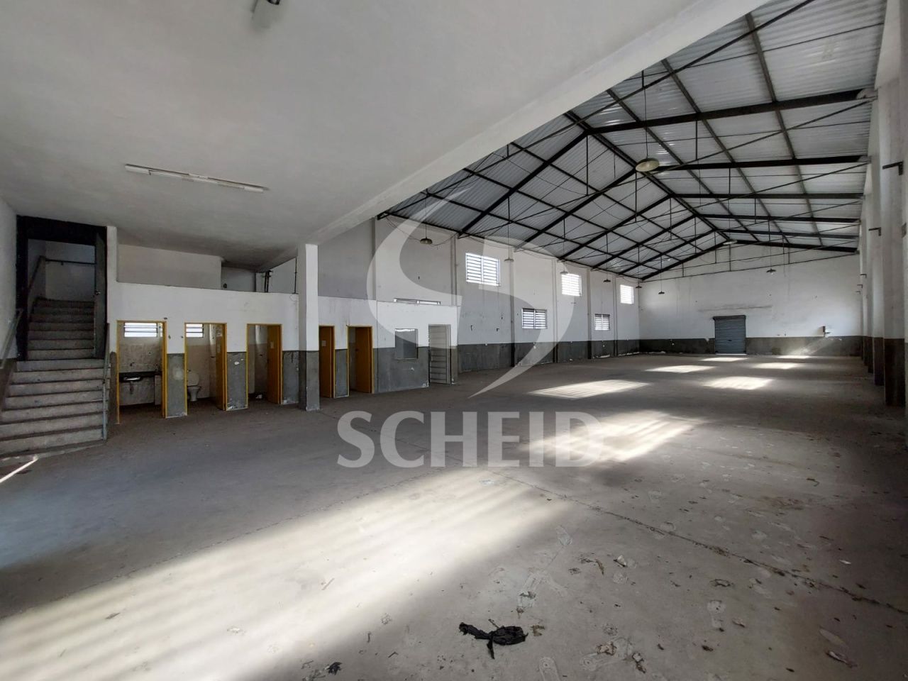 Foto 11