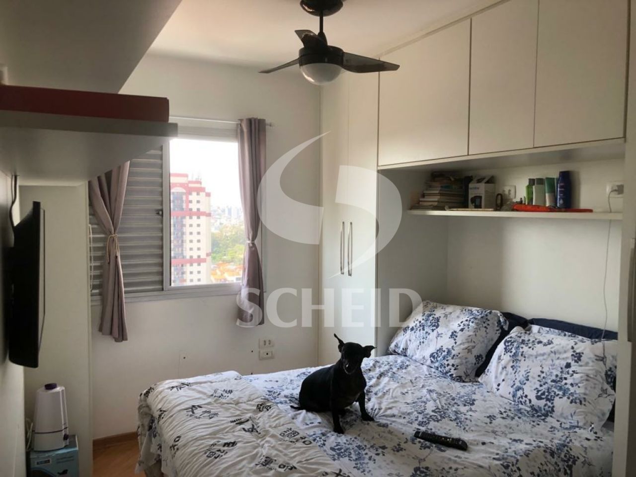 Foto 17
