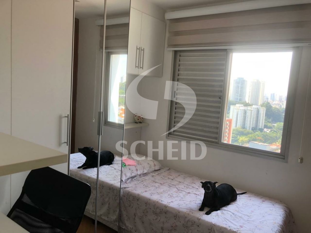 Foto 15