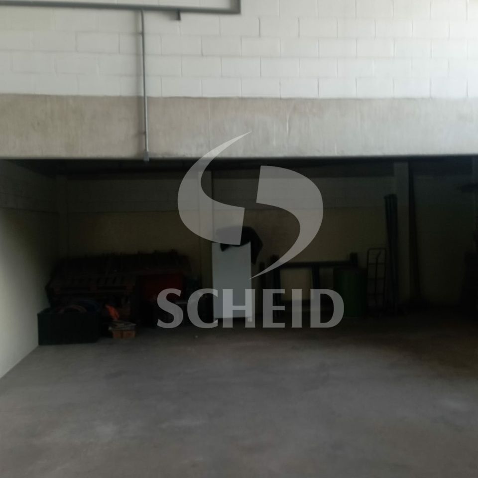 Foto 19