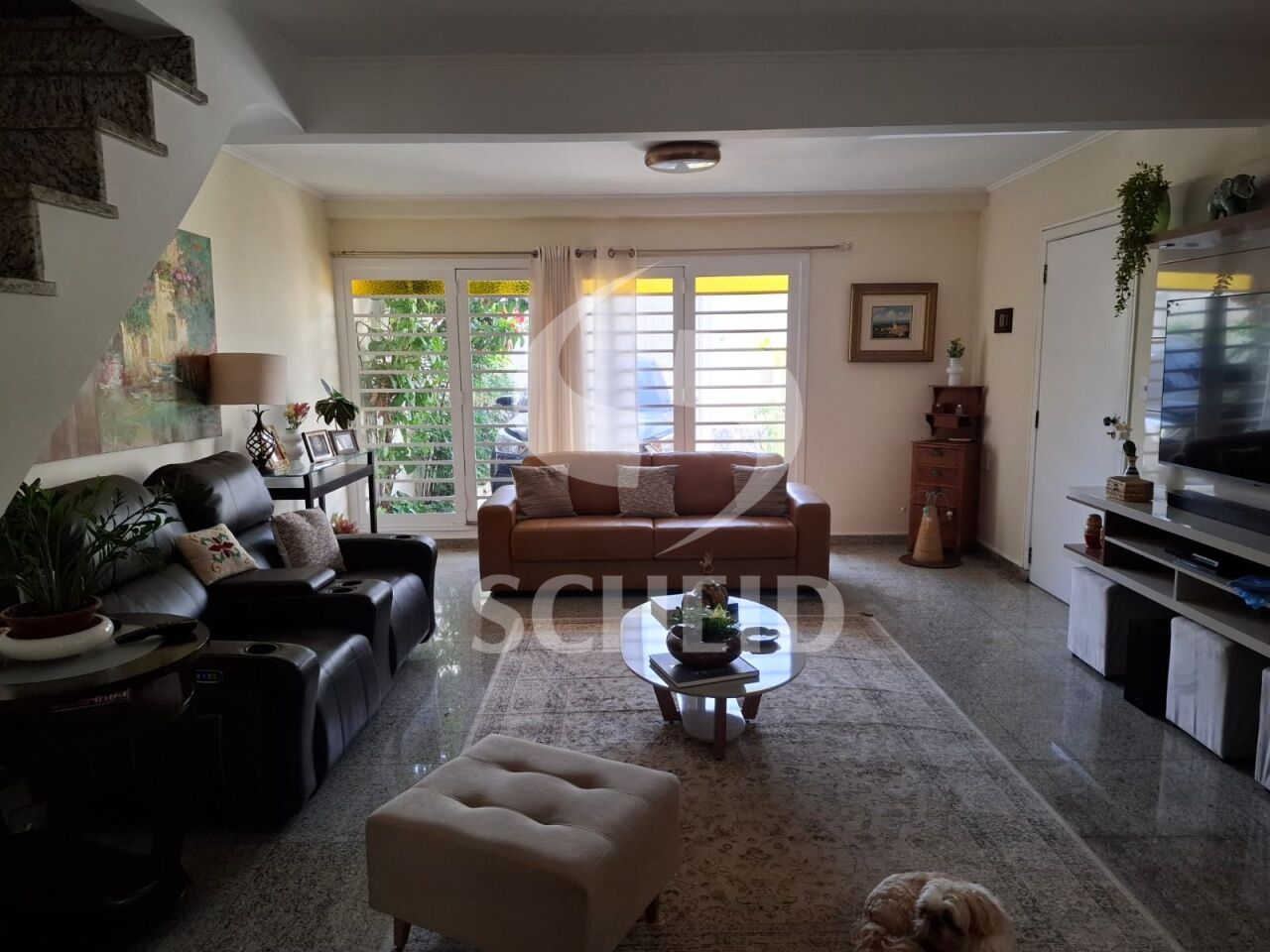 Foto 19