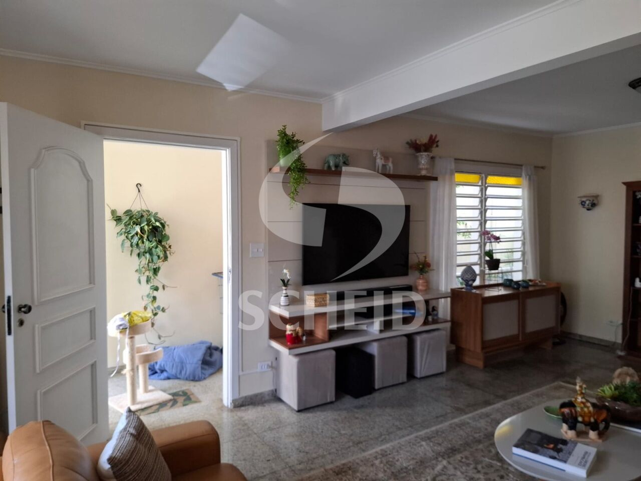 Foto 20