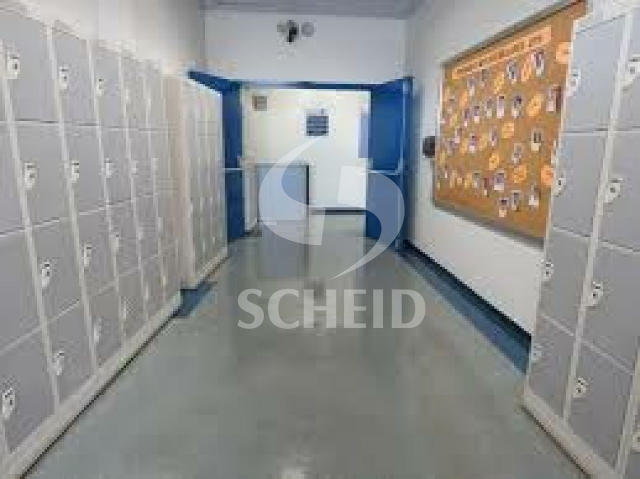 Foto 9
