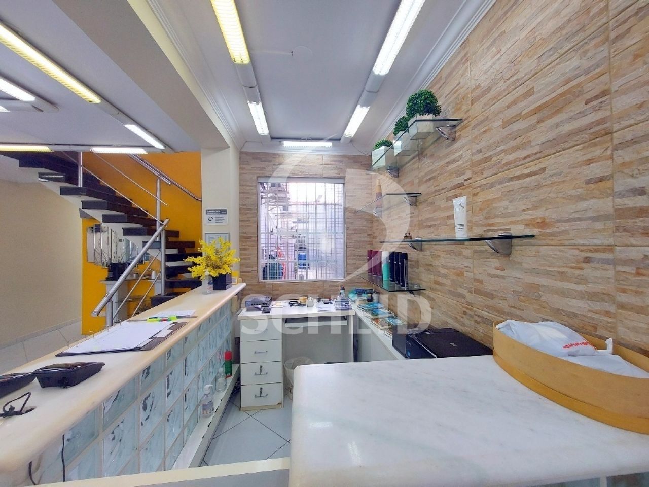 Foto 6