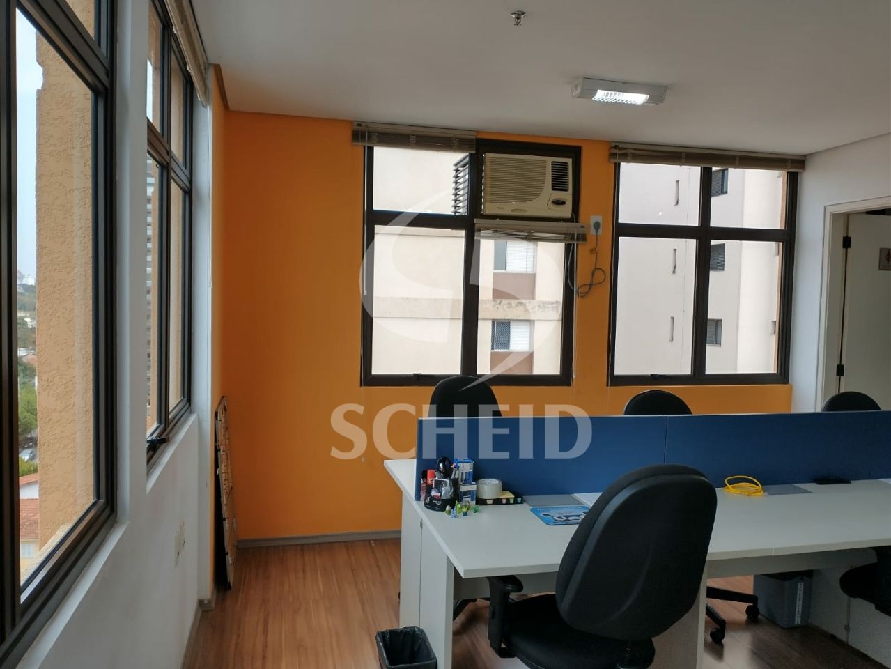 Foto 7