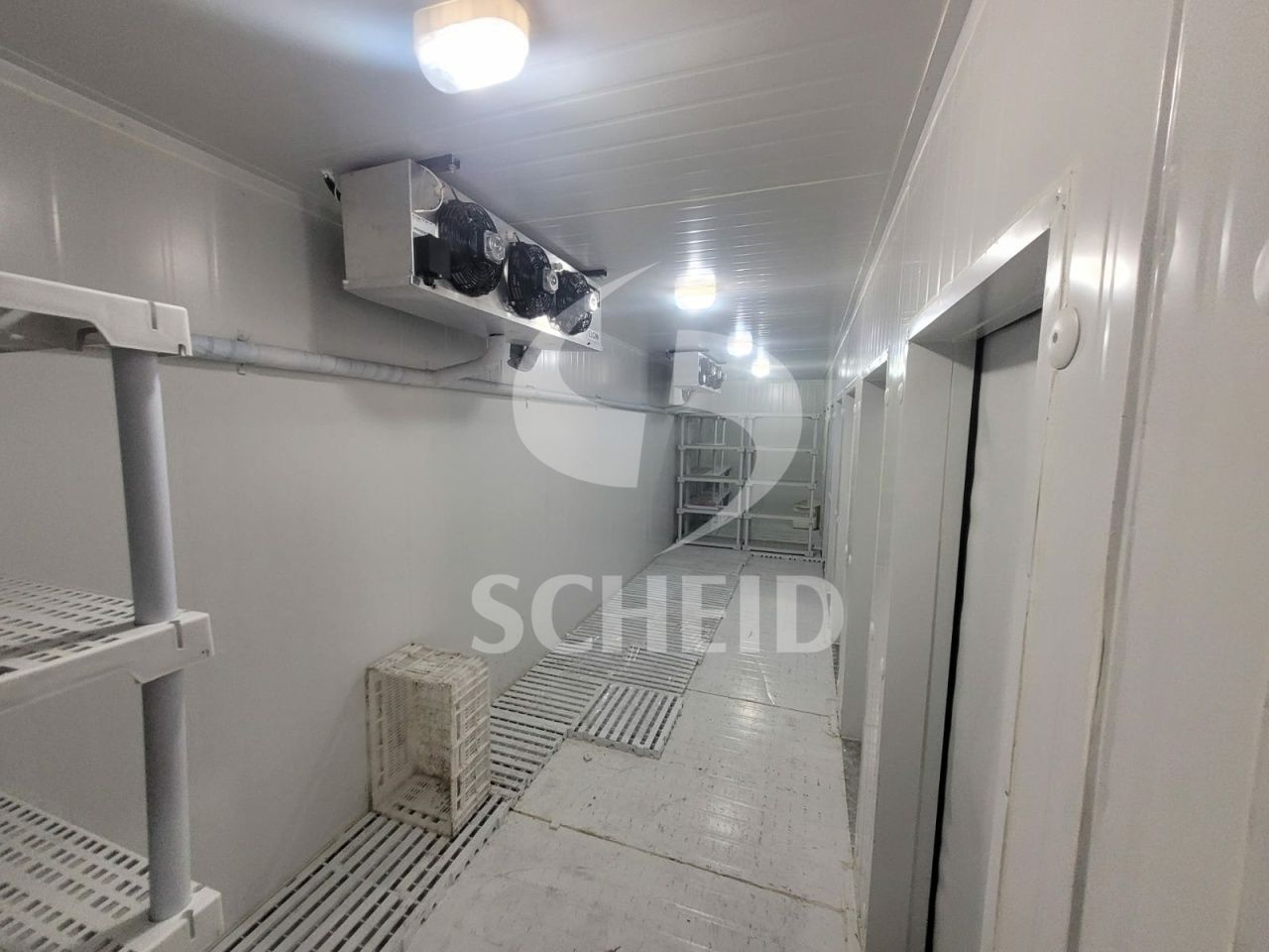 Foto 7