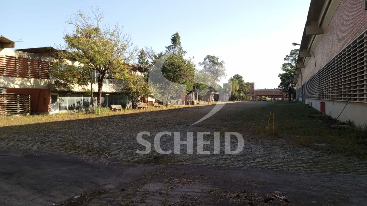Foto 20
