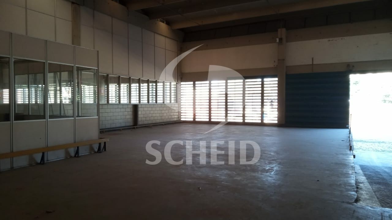 Foto 21