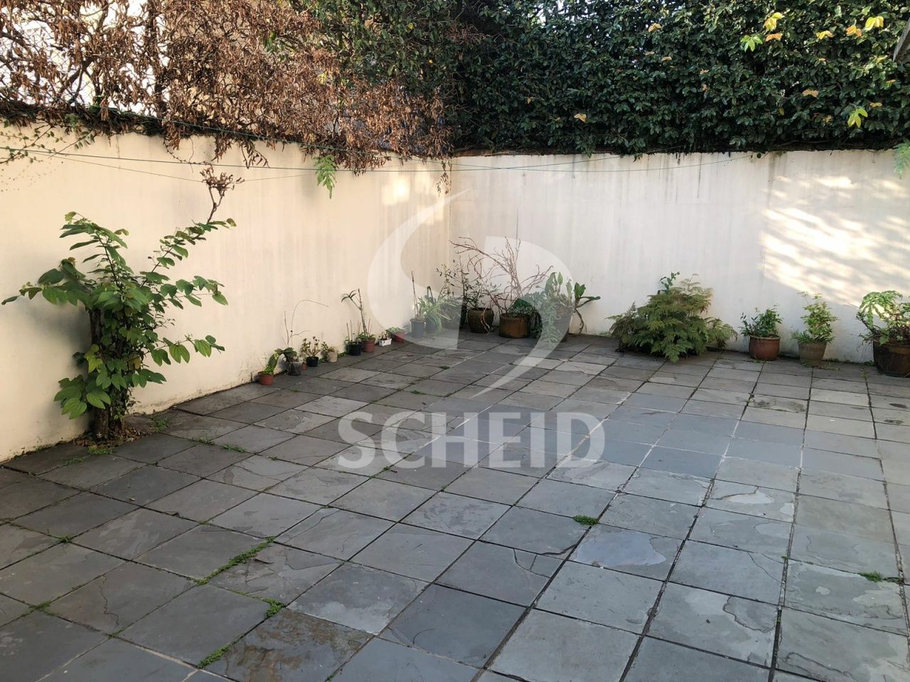 Foto 33