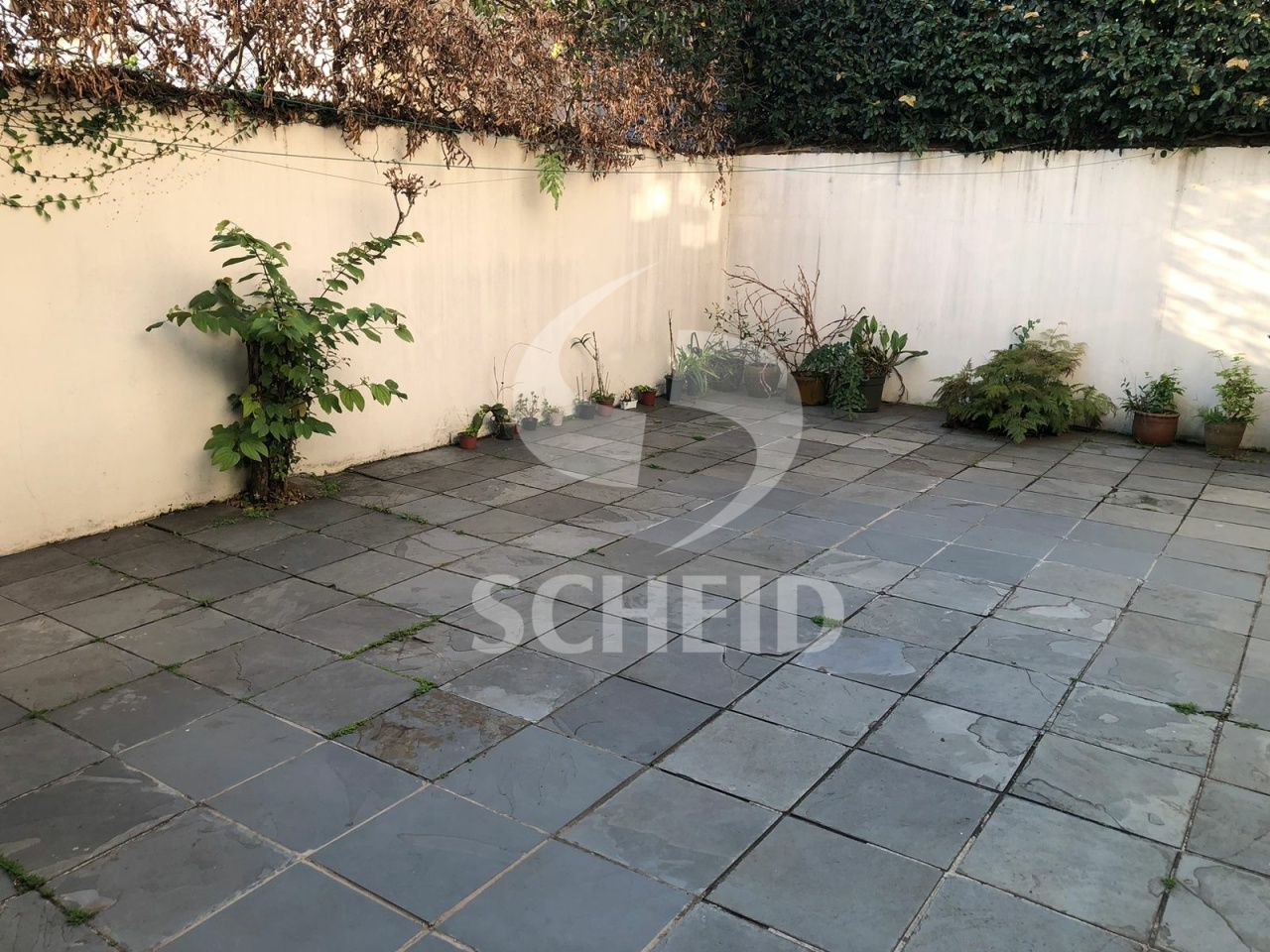Foto 34
