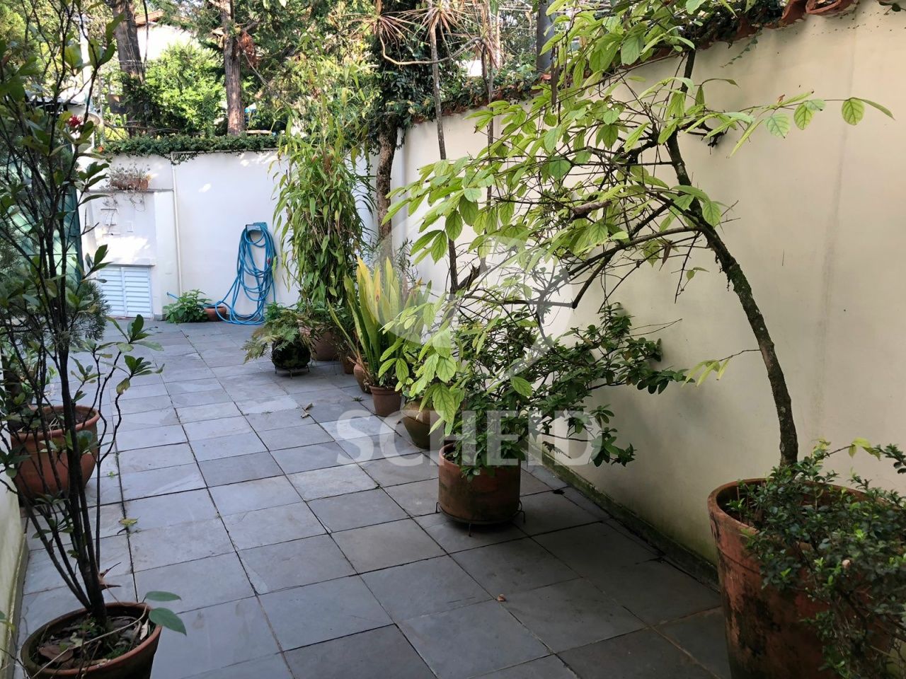 Foto 37