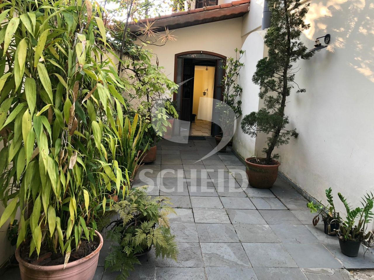 Foto 42
