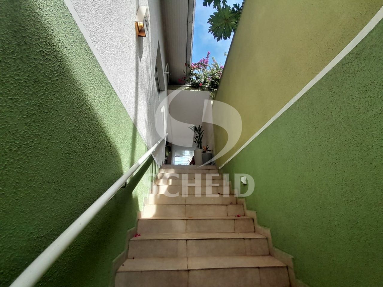 Foto 42