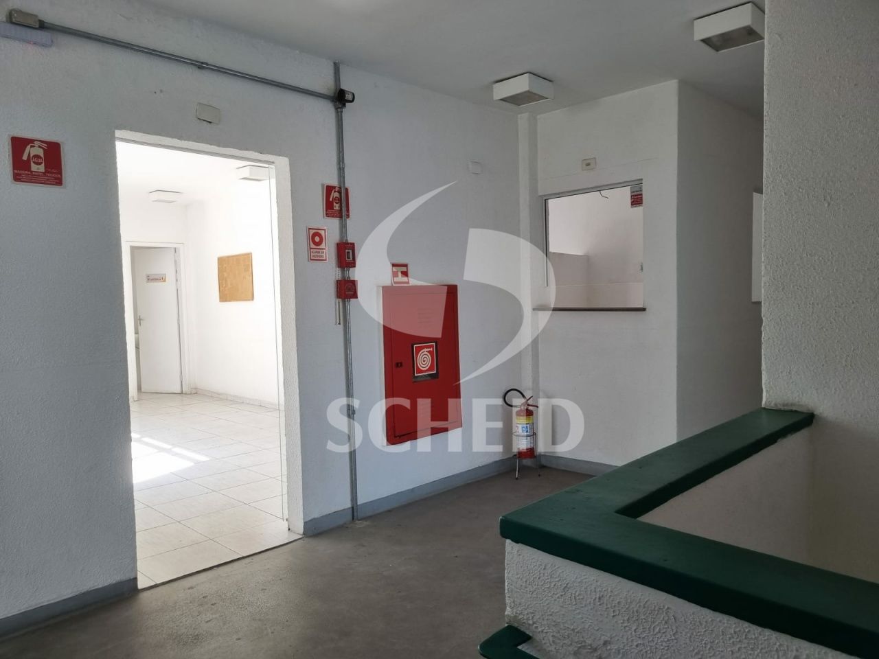 Foto 7
