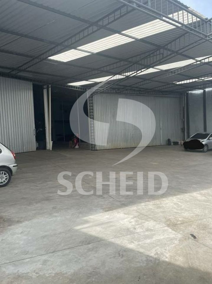 Foto 12