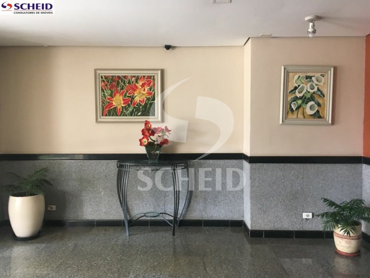 Foto 20