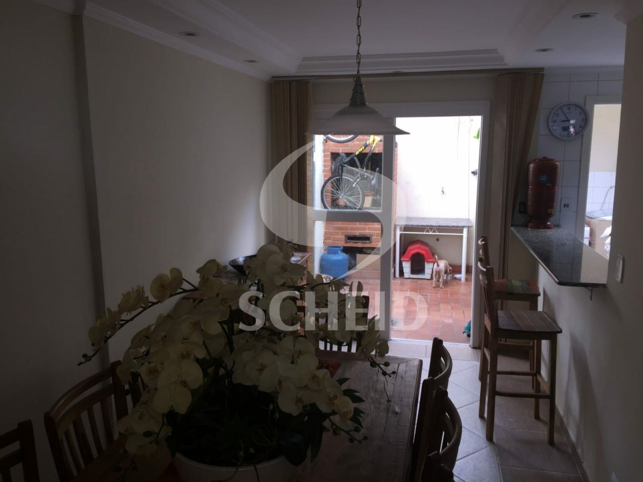 Foto 7