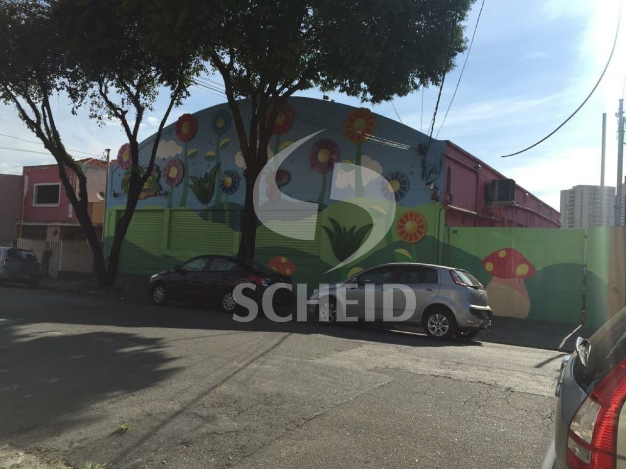 Foto 12