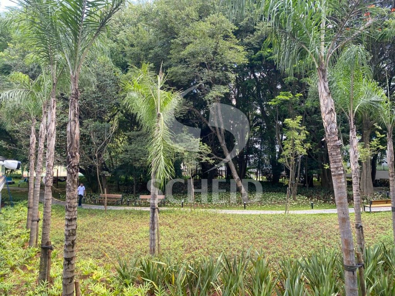 Foto 18