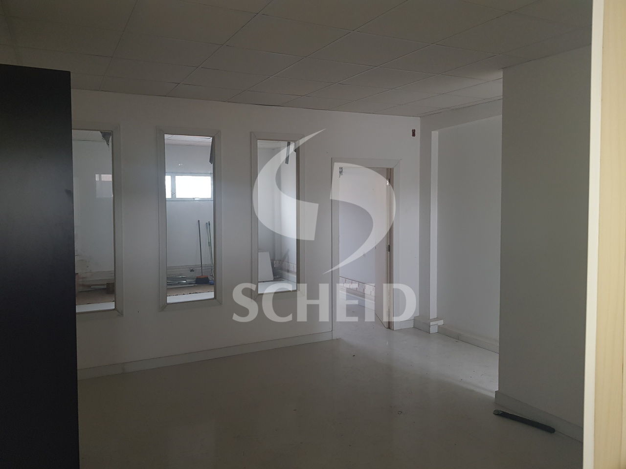 Foto 15