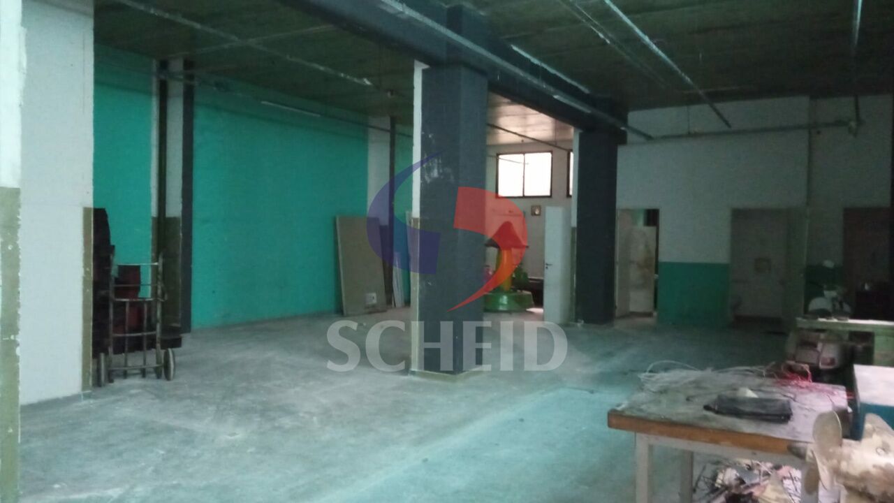 Foto 6