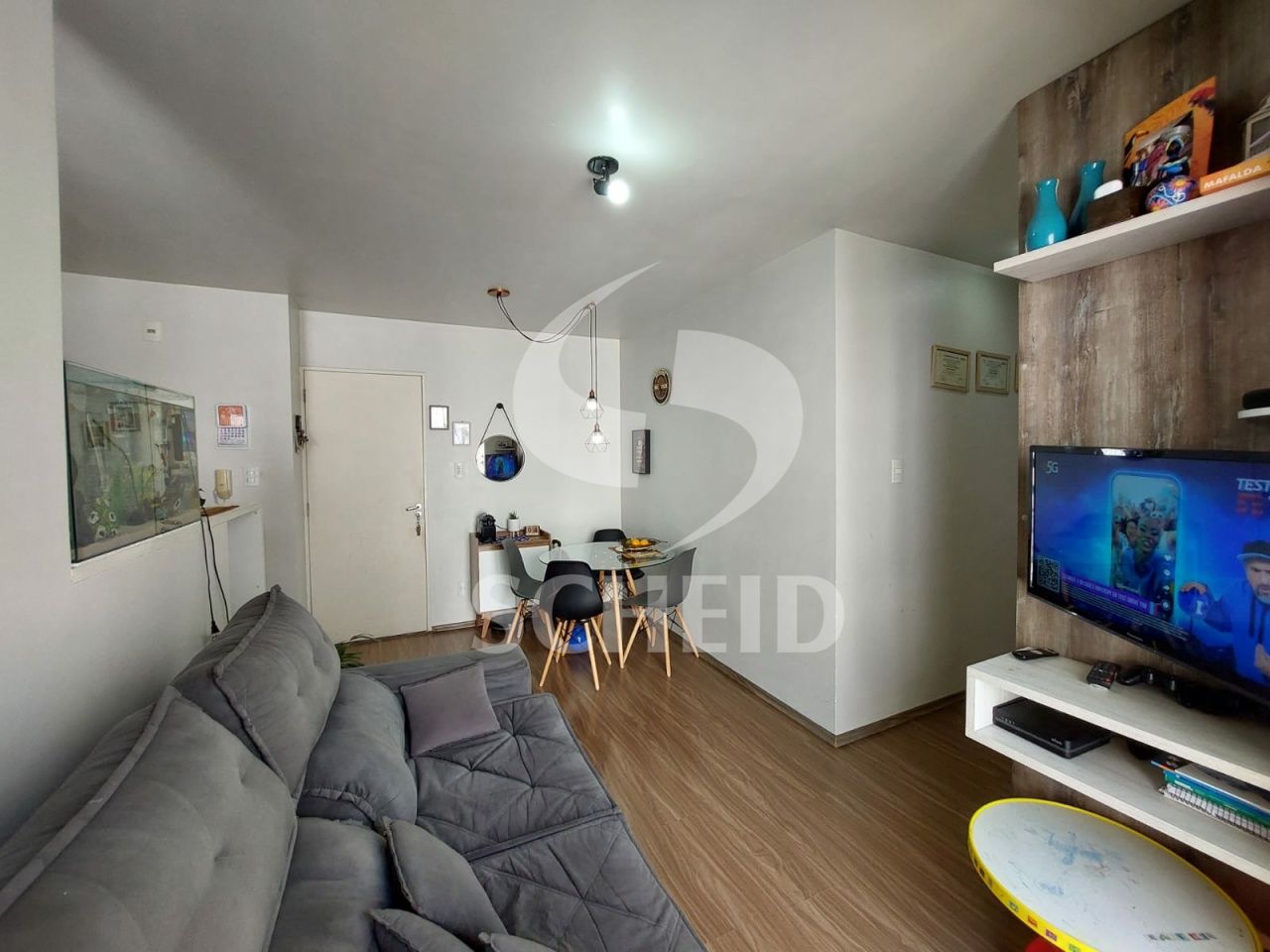 Foto 5