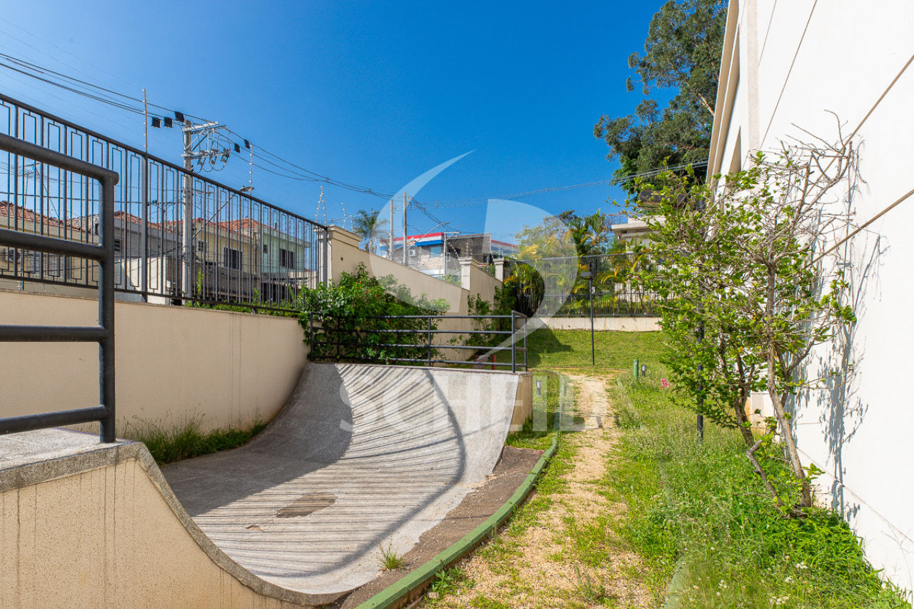 Foto 41