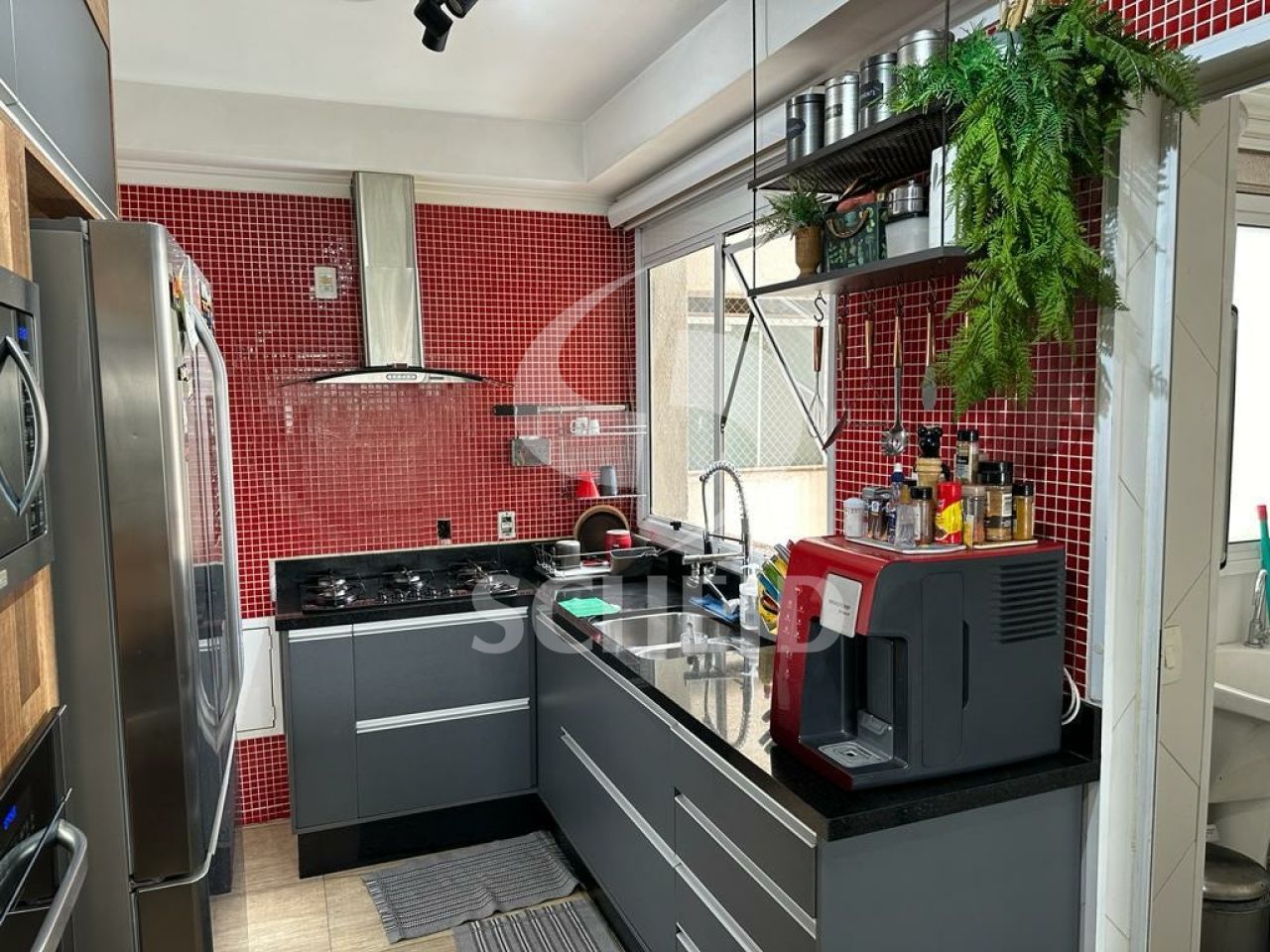 Foto 5