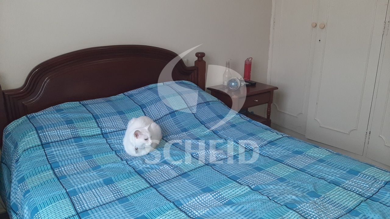 Foto 19