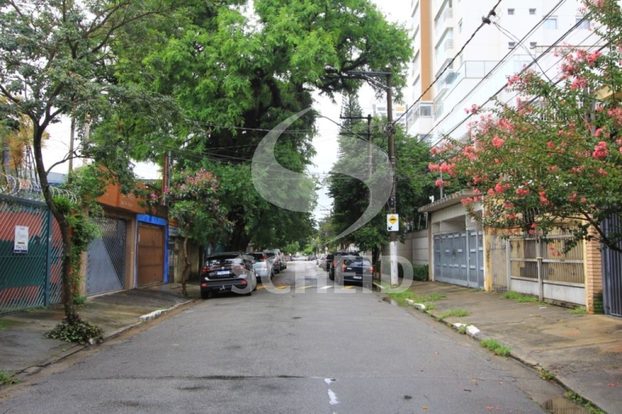 Foto 19