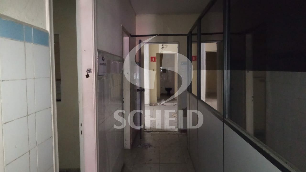 Foto 20