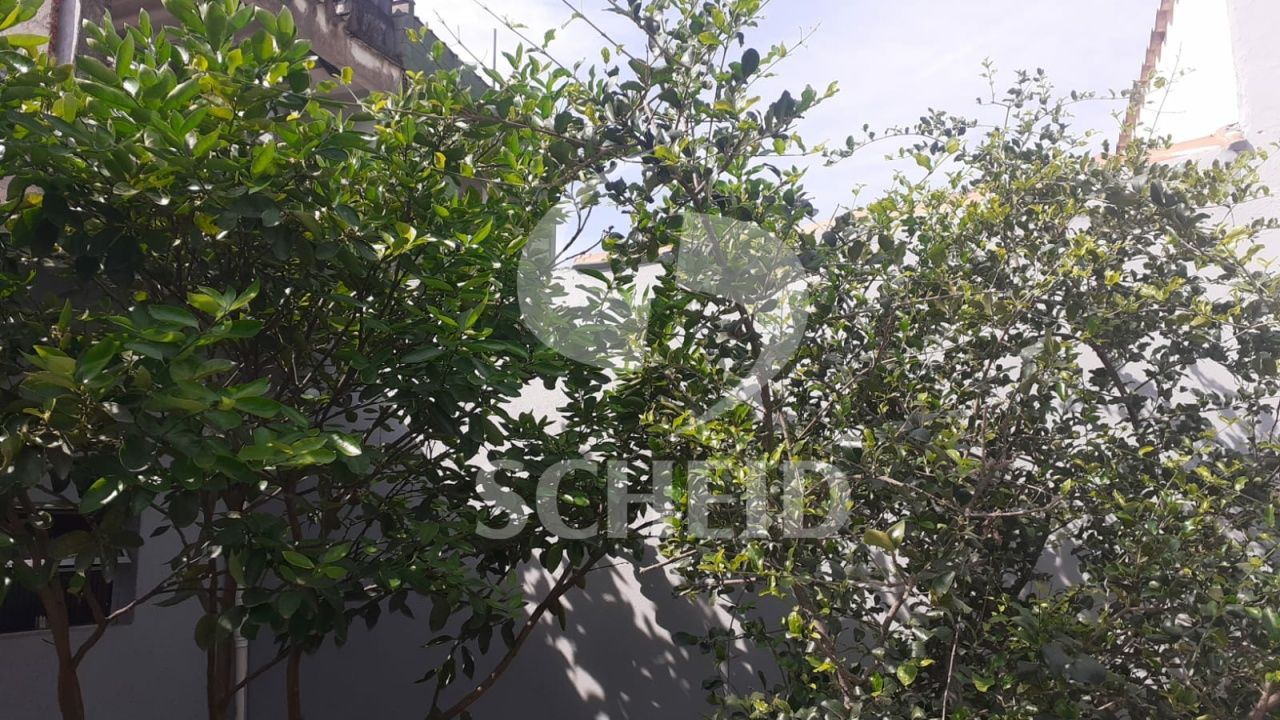 Foto 34