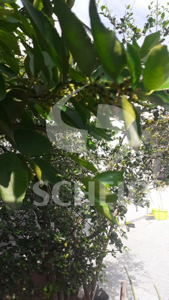 Foto 33
